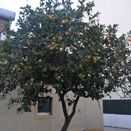 Casa Do Limoeiro Bed & Breakfast Quinta do Conde Екстериор снимка